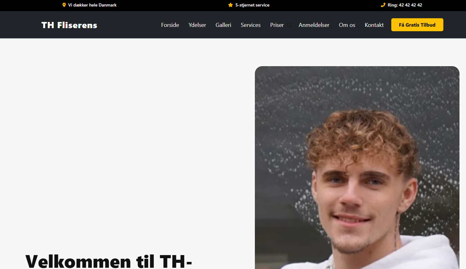 Template 03 preview